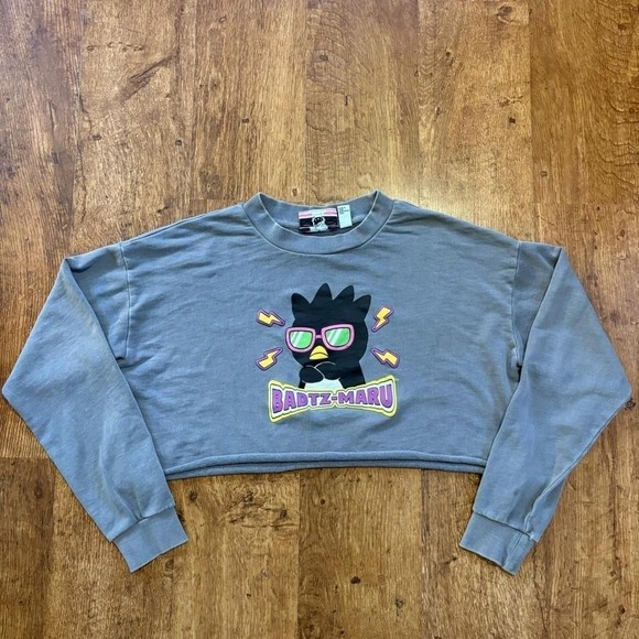 Hello Kitty Tops - Hello Kitty and friends Sanrio x‎ Forever 21 cropped long sleeve sweatshirt,